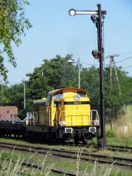 SM42-2560 Rogoznica 07.2015.JPG