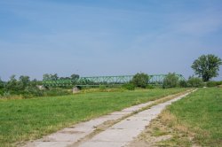DSC_5293.JPG
