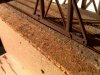 20110512061.jpg