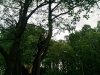 P010611_18.50_[02].jpg
