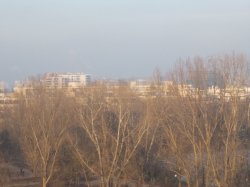 DSCN7549.JPG
