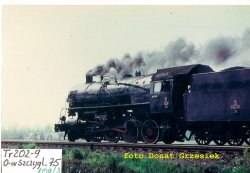 DG13.jpg