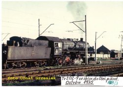 DG14.jpg