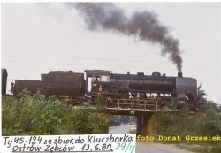 DG 31.jpg