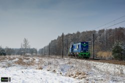DSC_0039-1.jpg