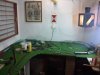 DSC00185.JPG