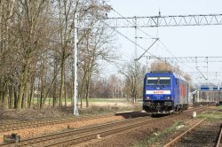 DSC_0030-3-1.jpg