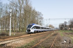 DSC_0034-3-1.jpg