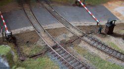 pędnia rogatki 1.jpg