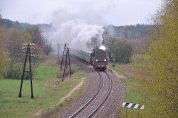 DSC_0465.jpg