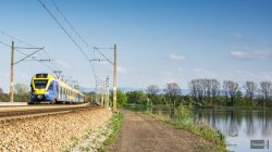 DSC_0060-4-1.jpg