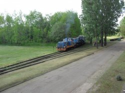 tr7.jpg