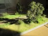 IMG_4103.jpg