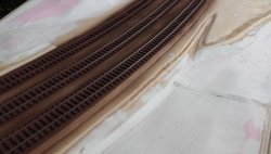 20160520_145715vcx.jpg