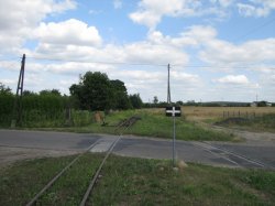 IMG_1627.JPG