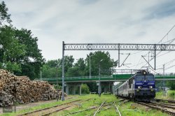 DSC_0043-1.jpg