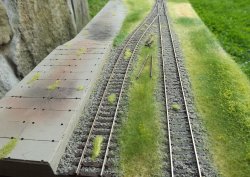 DSCF8610.JPG