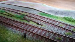 IMG_20160810_112726.jpg