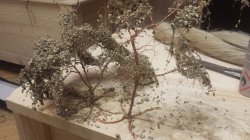 20161108_023043.jpg