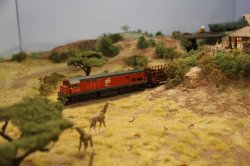 IMG_8847.jpg
