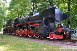 DSC_3136.JPG