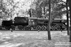DSC_3146.JPG