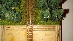 IMG_20171107_000440[1].jpg