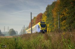 DSC_0413-1.jpg