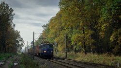 DSC_0482-1.jpg