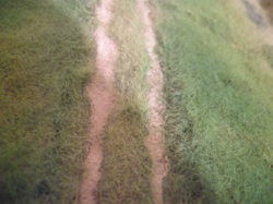DSCN5568.JPG