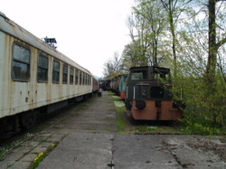 P1304415.JPG