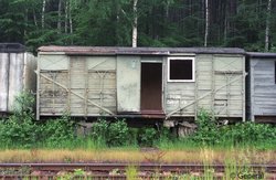 wczasy wagonowe jedlina 1997  017.jpg