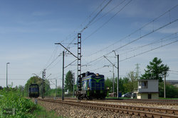 DSC_1124.jpg