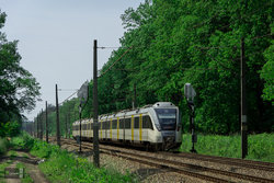 DSC_1258.jpg