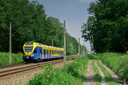DSC_1271.jpg