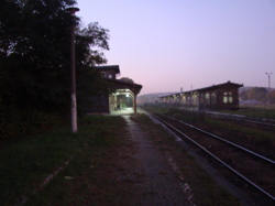 DSC05662.JPG