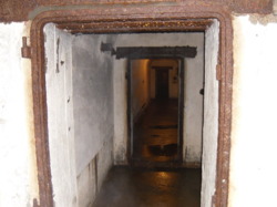 SAM_5485.jpg