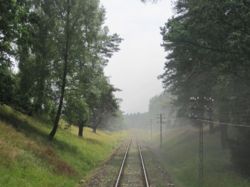 IMG_7428111.jpg