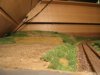 Dscn7055.jpg
