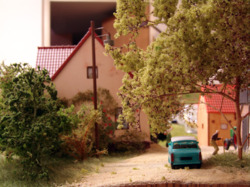 DSC08795.JPG