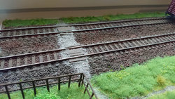 555.jpg
