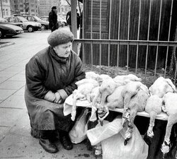 Targ na Polnej 01.jpg