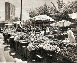 Targ na Polnej 03.jpg