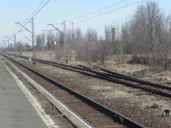DSCN8972.JPG