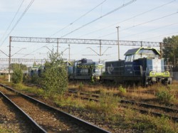 RP9098168 stonkowisko.jpg