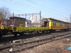 DSC08030.JPG