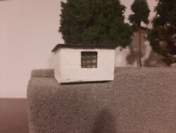 20201229_223015_compress52.jpg