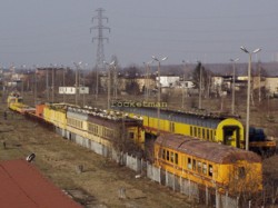 sieciowy-RP4072305s.jpg