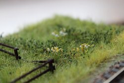 IMG_3936.JPG