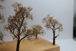IMG_3977.JPG